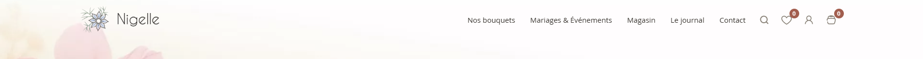 Aperçu zoomé d'un header compact