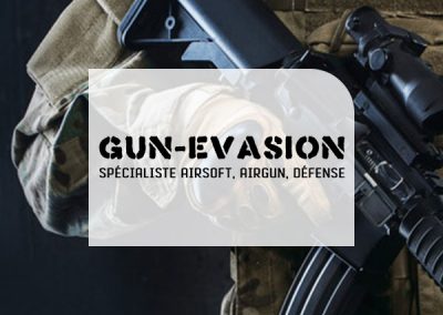 Gun-Evasion