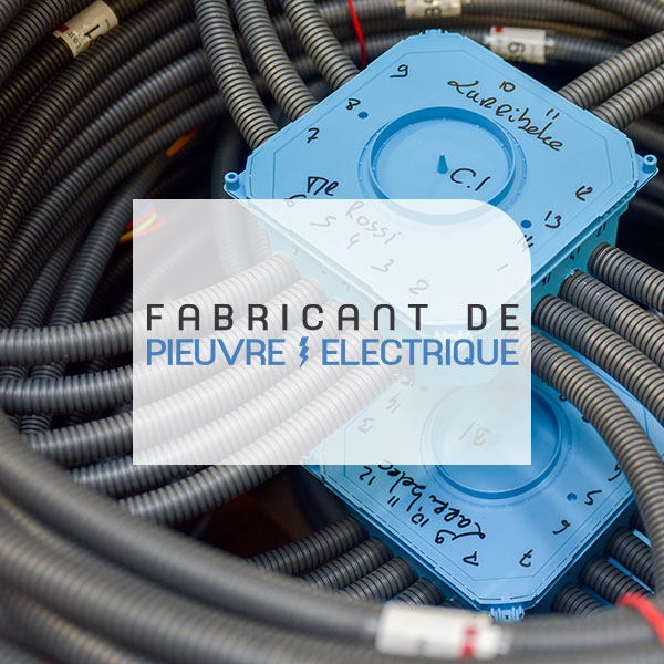 Fabricant de Pieuvre électrique