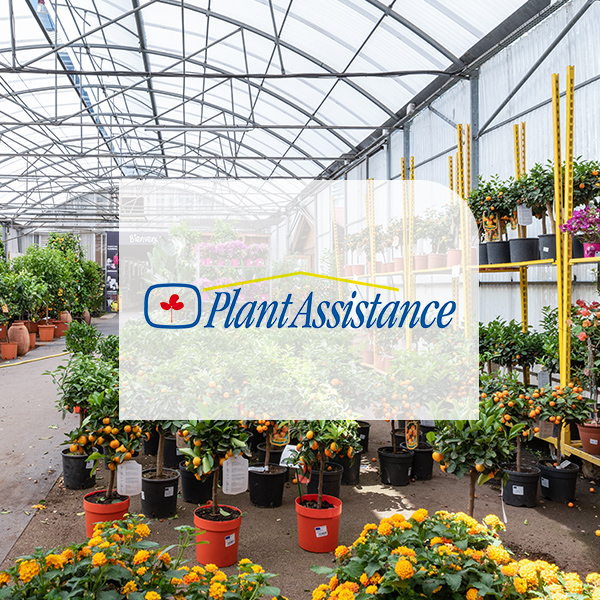 Plantassistance