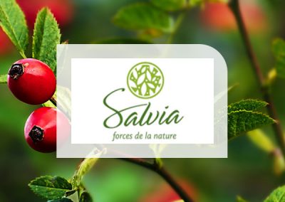 Salvia Nutrition