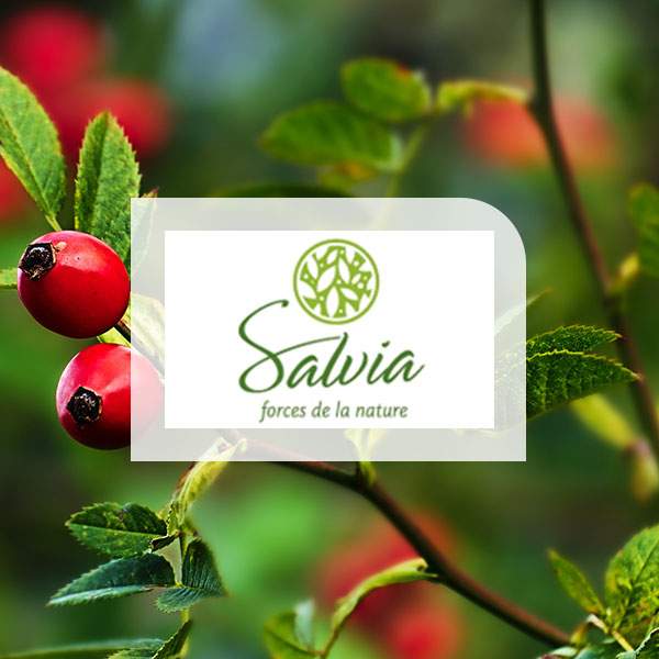 Salvia Nutrition
