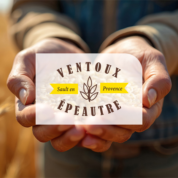 Ventoux Epeautre